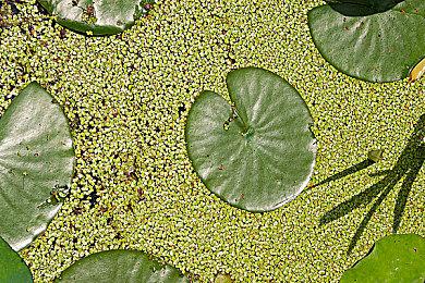 Take Two决心将旗下知名IP移植到手机平台